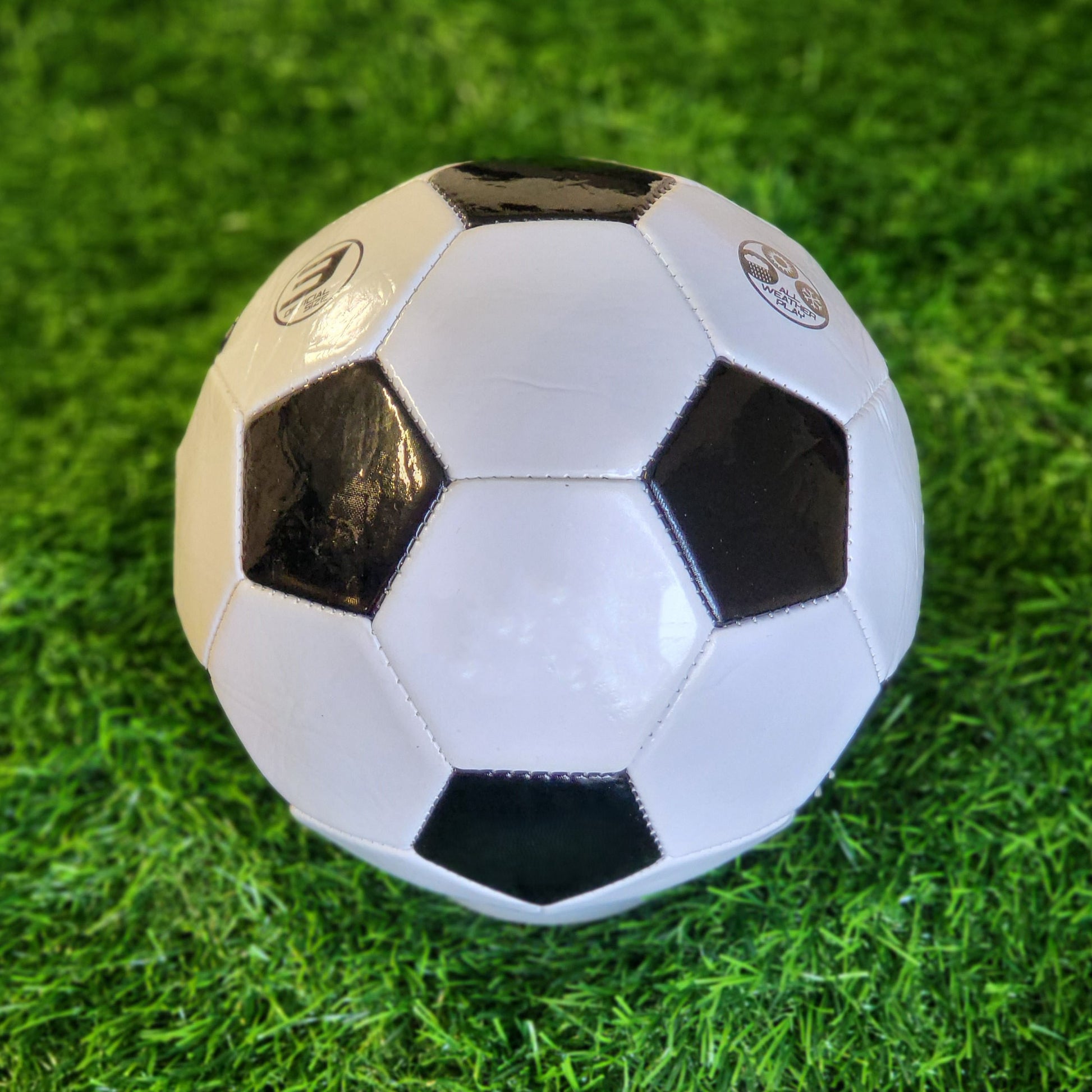 Customized Soccer Ball Personalized