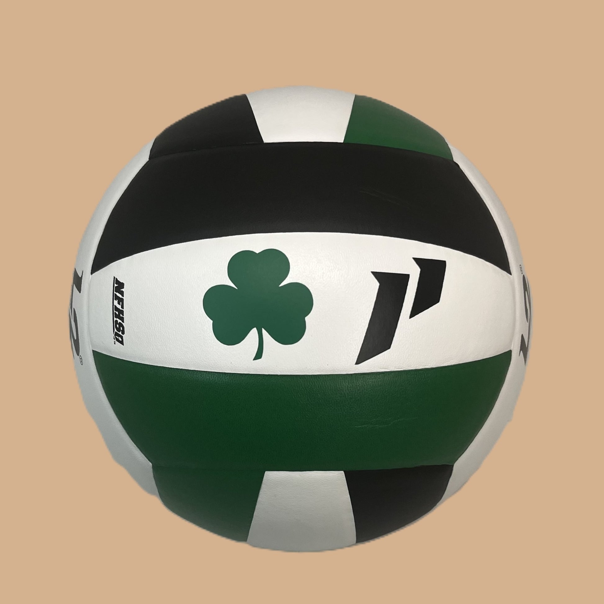 Customized Molten L2 Volleyball with Custom Logo