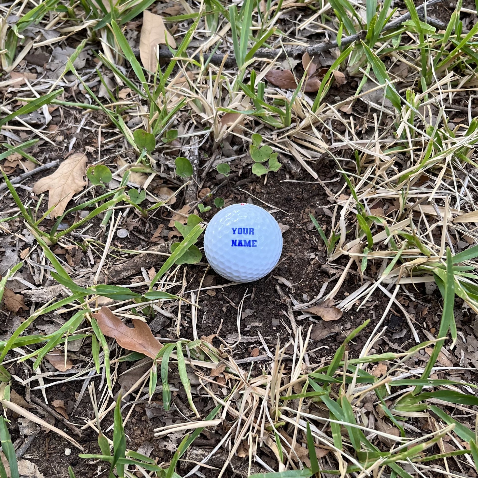 Customized Golf Ball Gift with Blue Text on Grass Background