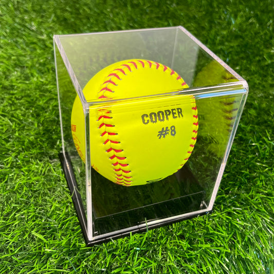 Softball Display Case