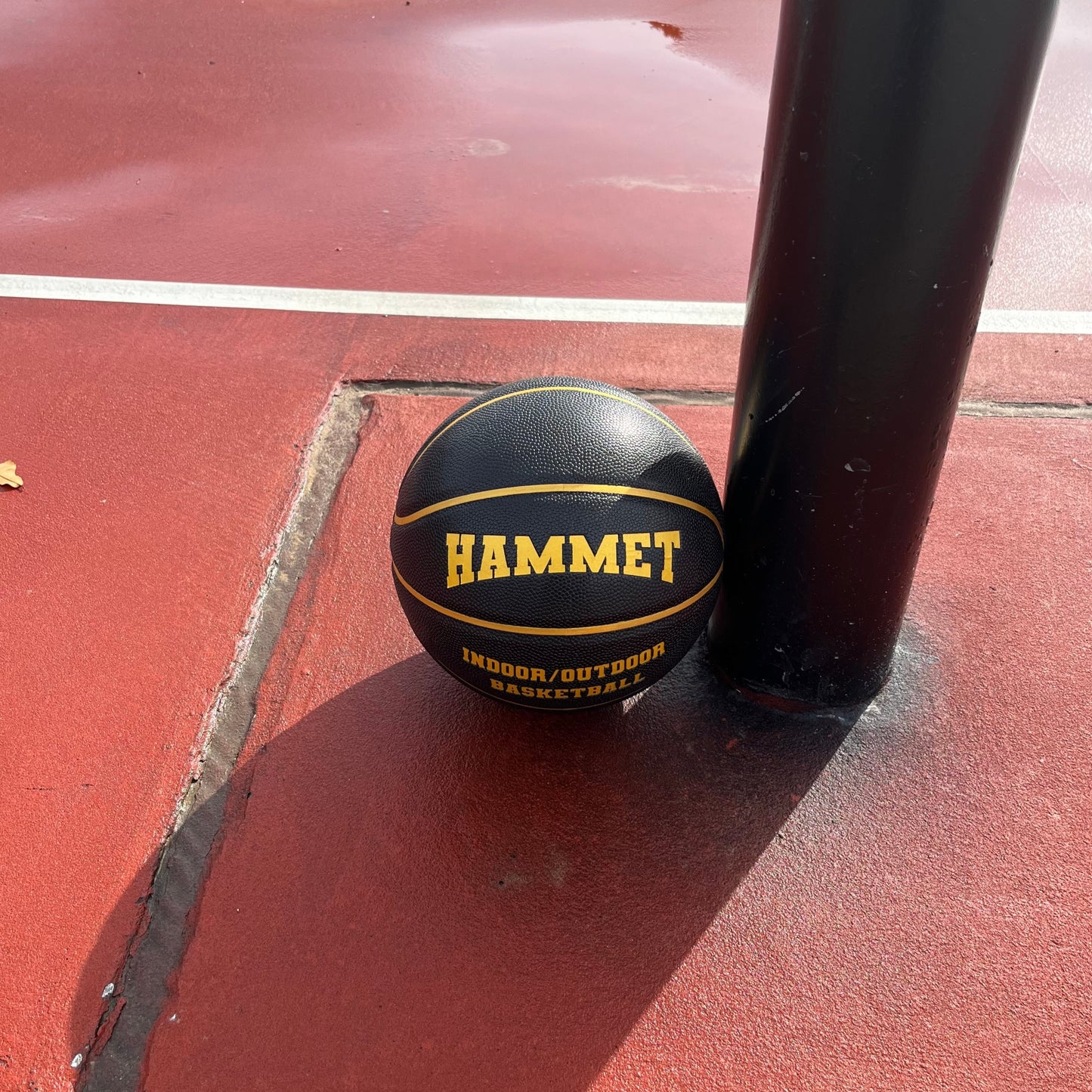 Hammet Black and Gold Basketball at Park