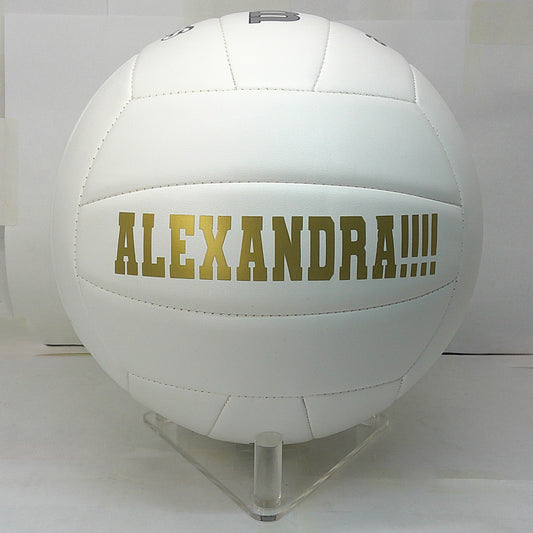 Volleyball Display Stand