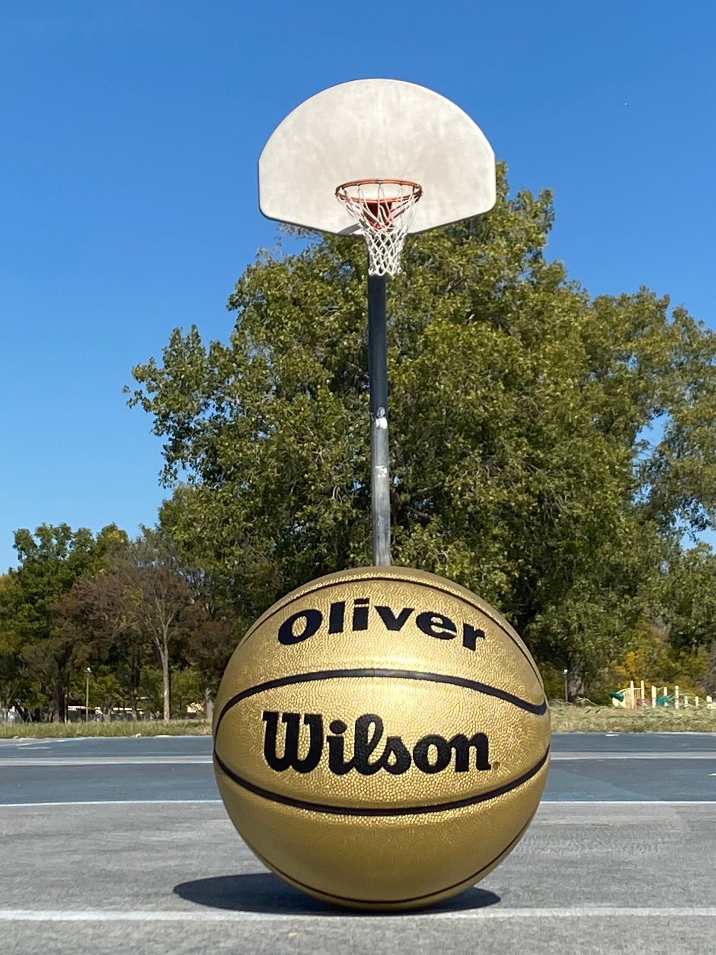 Wilson Personalized Wilson Gold Basketball