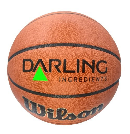 Custom Basketball with Promotional Logo