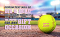 Load image into Gallery viewer, Best Mom Ever Softball 2
