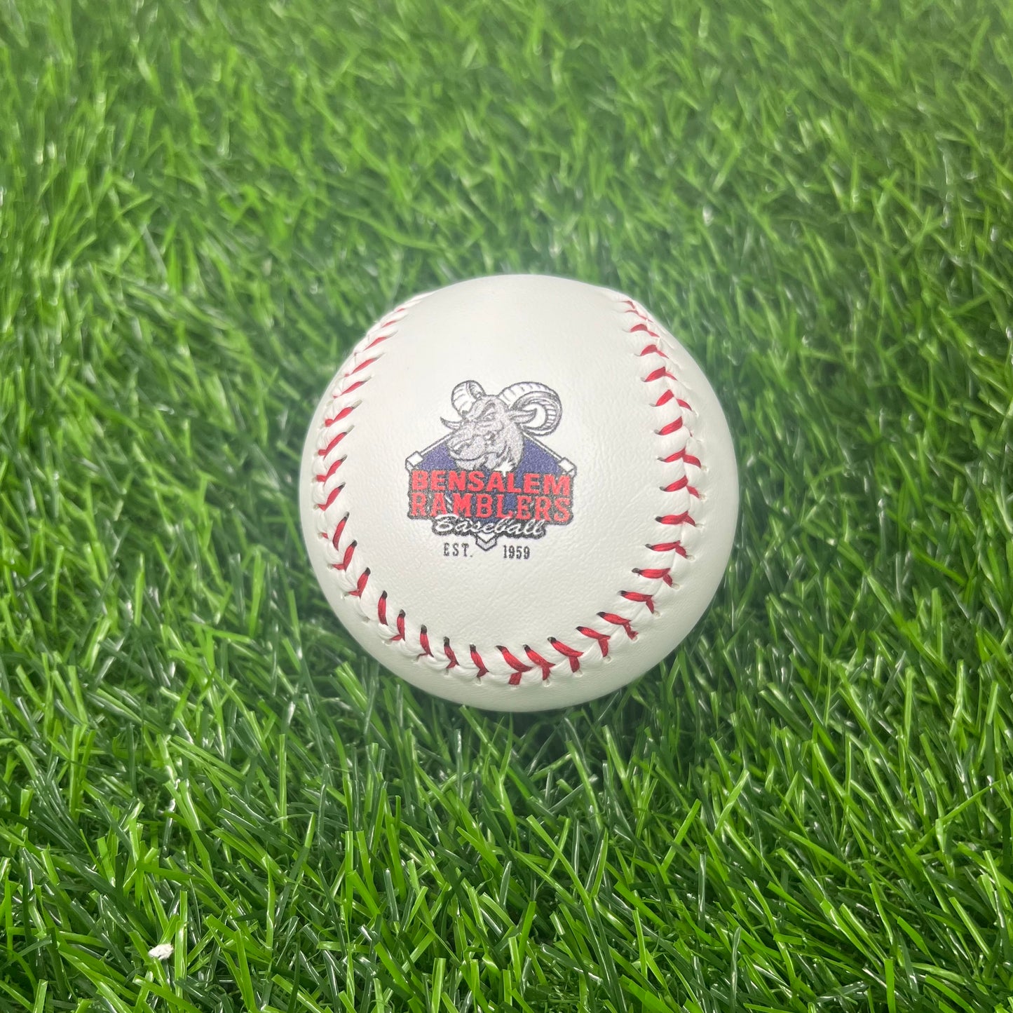 Customized Baseball with Team Logo