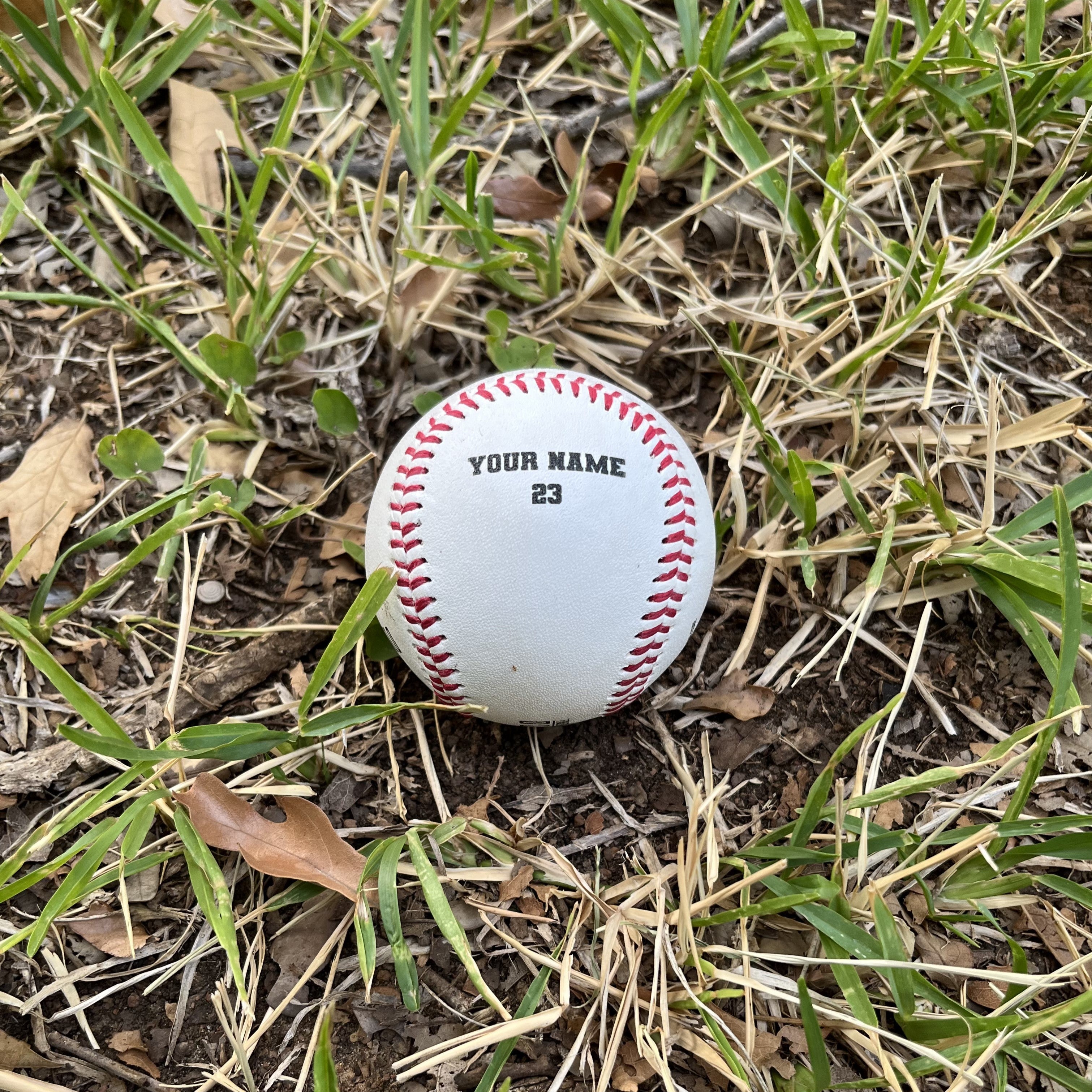 Customized Personalized Baseball, Gift or Display Baseball – Sports Customs