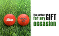Load image into Gallery viewer, Customized Personalized Red Golf Balls Gift Ideas
