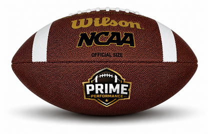 Customized Personalized Wilson NCAA Football with a custom logo printed on the top panel.