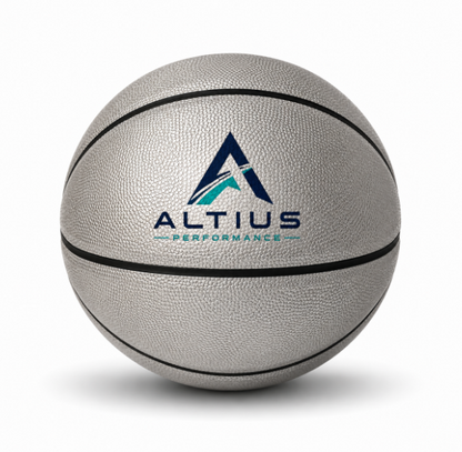 Customized Silver Basketball, Non Branded with a custom logo printed on the top panel.