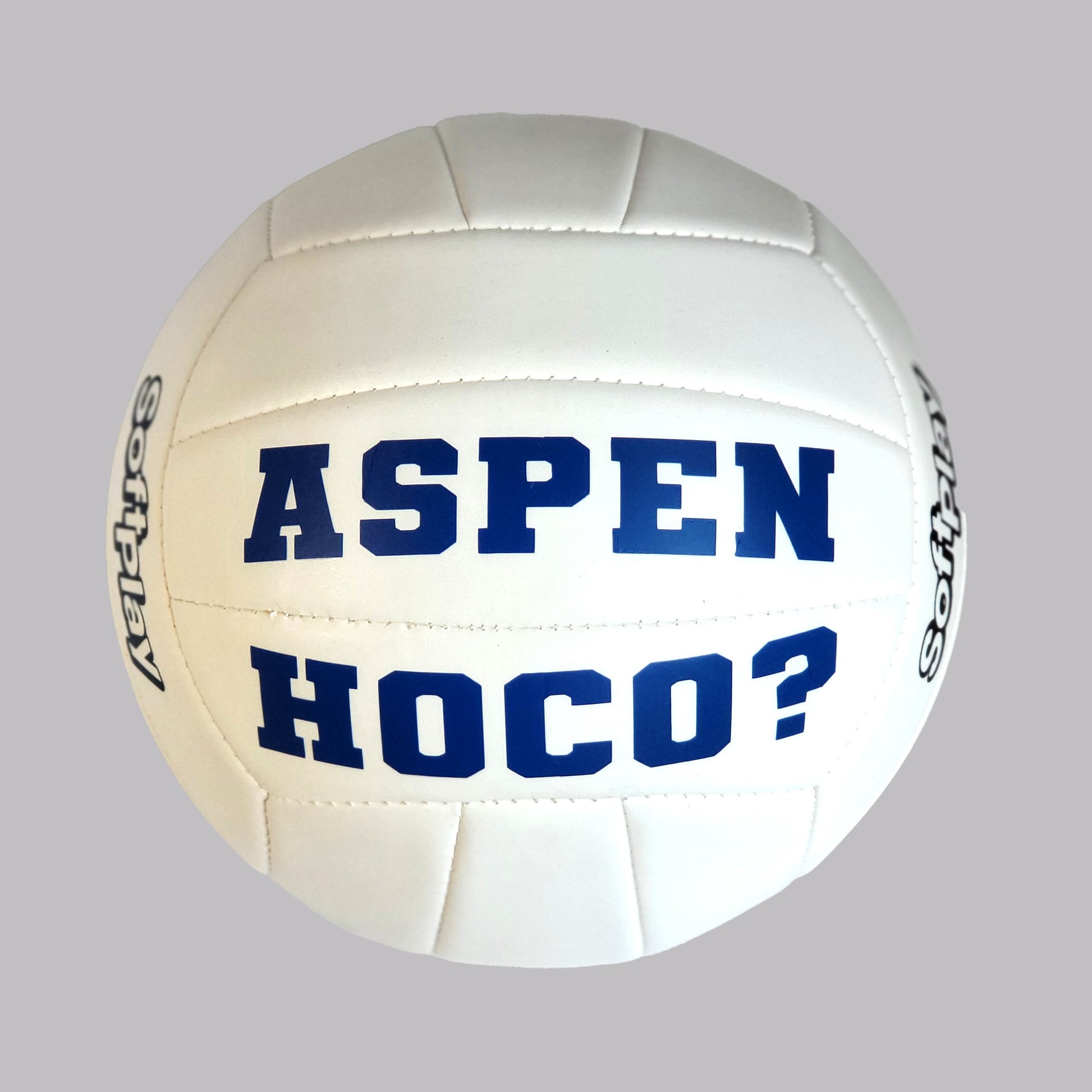 Customized Volleyball with Blue Text
