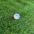 Load image into Gallery viewer, Customized White Golf Ball with Black Text

