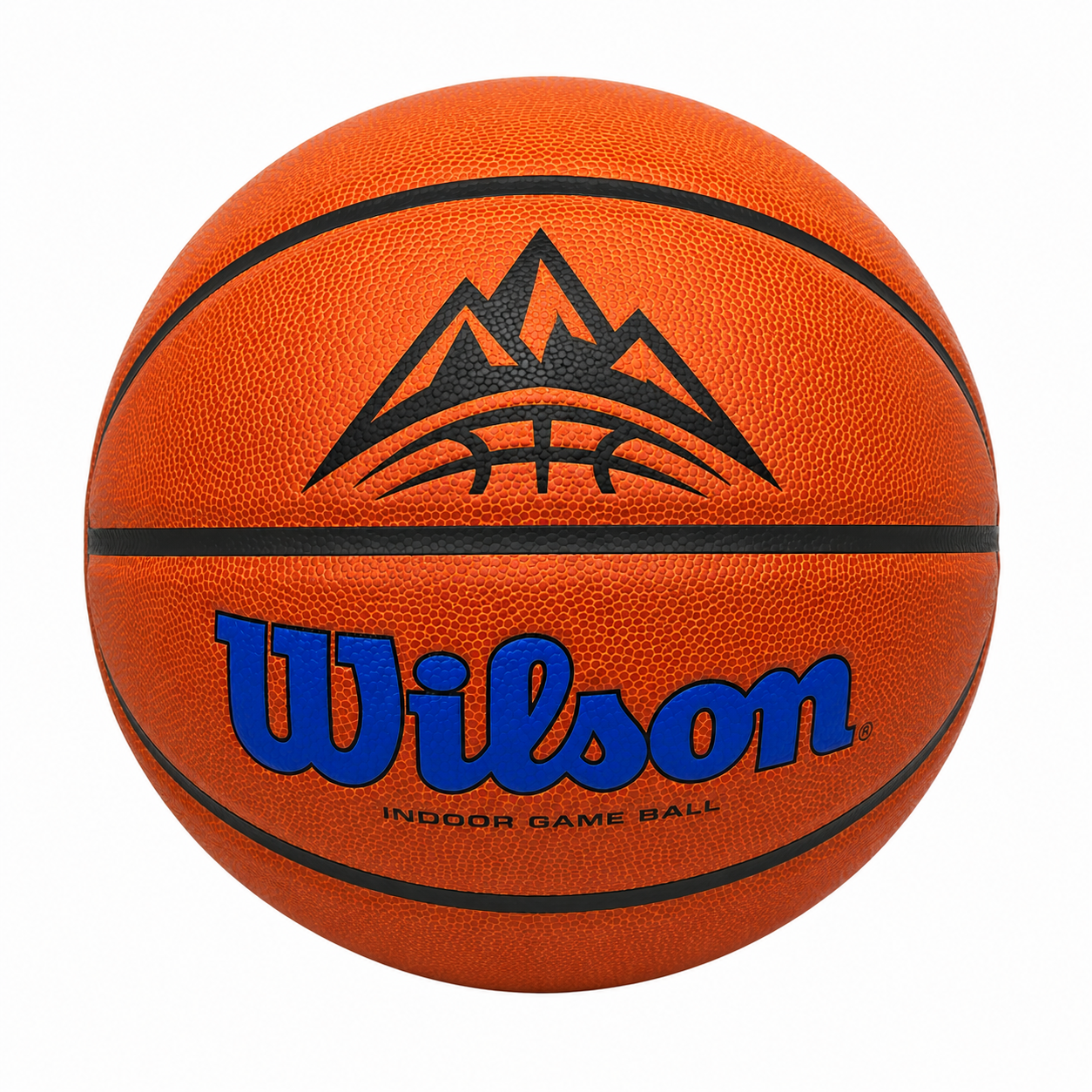 Customized Wilson Blue Evolution Basketball with a custom logo printed on the top panel.