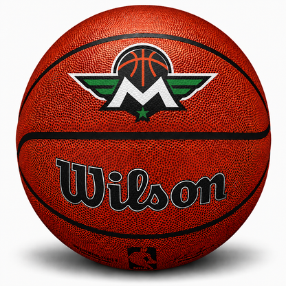 Customized Wilson NBA Indoor Outdoor Basketball with a custom logo printed on the top panel.