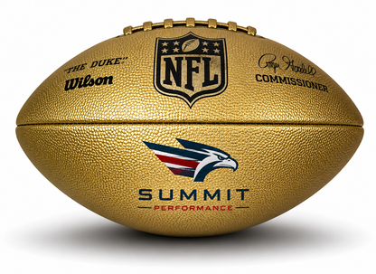 Customized Wilson NFL Gold Duke Replica Football with a custom logo on the bottom panel.