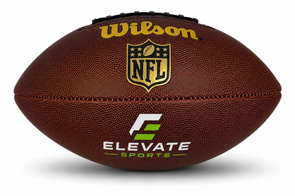 Customized Wilson NFL Tailgate Composite Football with a custom logo on the bottom panel.
