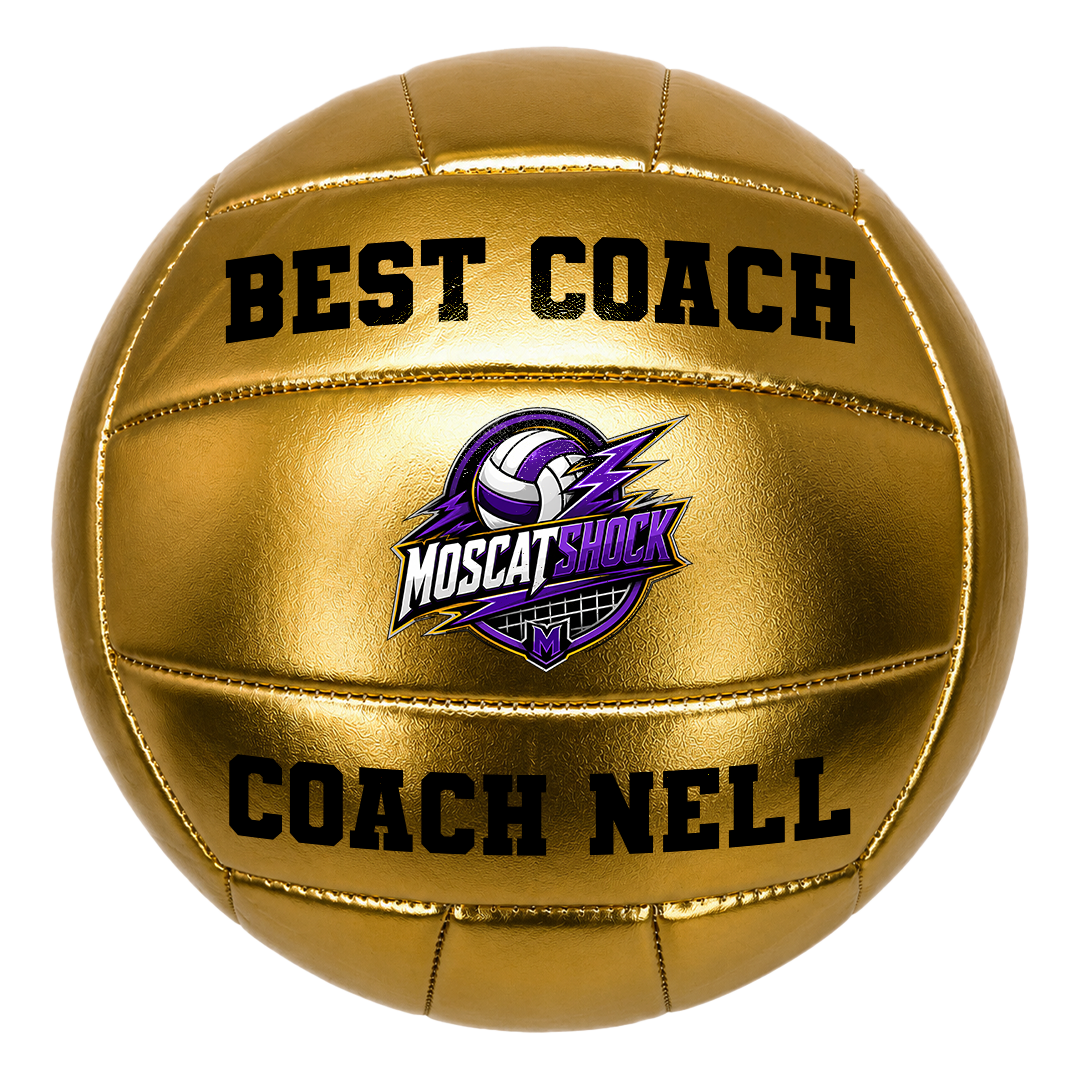 Customized Gold Volleyball Official with 3 panels available UV Print Logo Personalized in USA Perfect Gift for Best Coach good for Keepsake