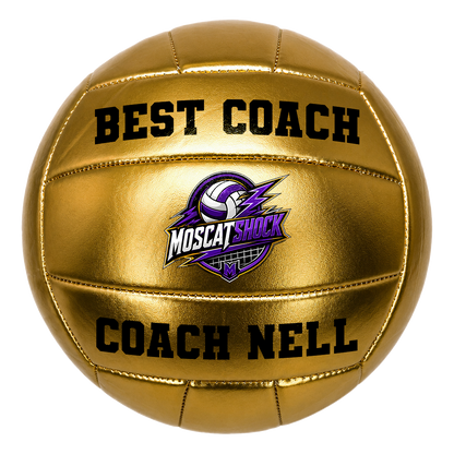 Customized Gold Volleyball Official with 3 panels available UV Print Logo Personalized in USA Perfect Gift for Best Coach good for Keepsake