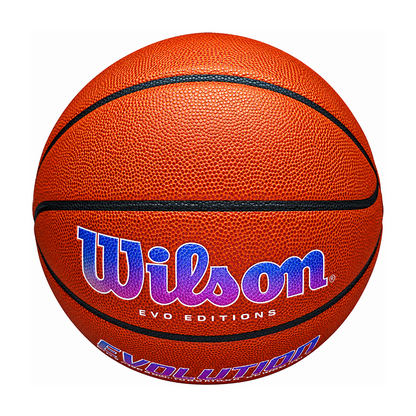 Customized View Wilson Evo Editions Autism Speaks Basketball