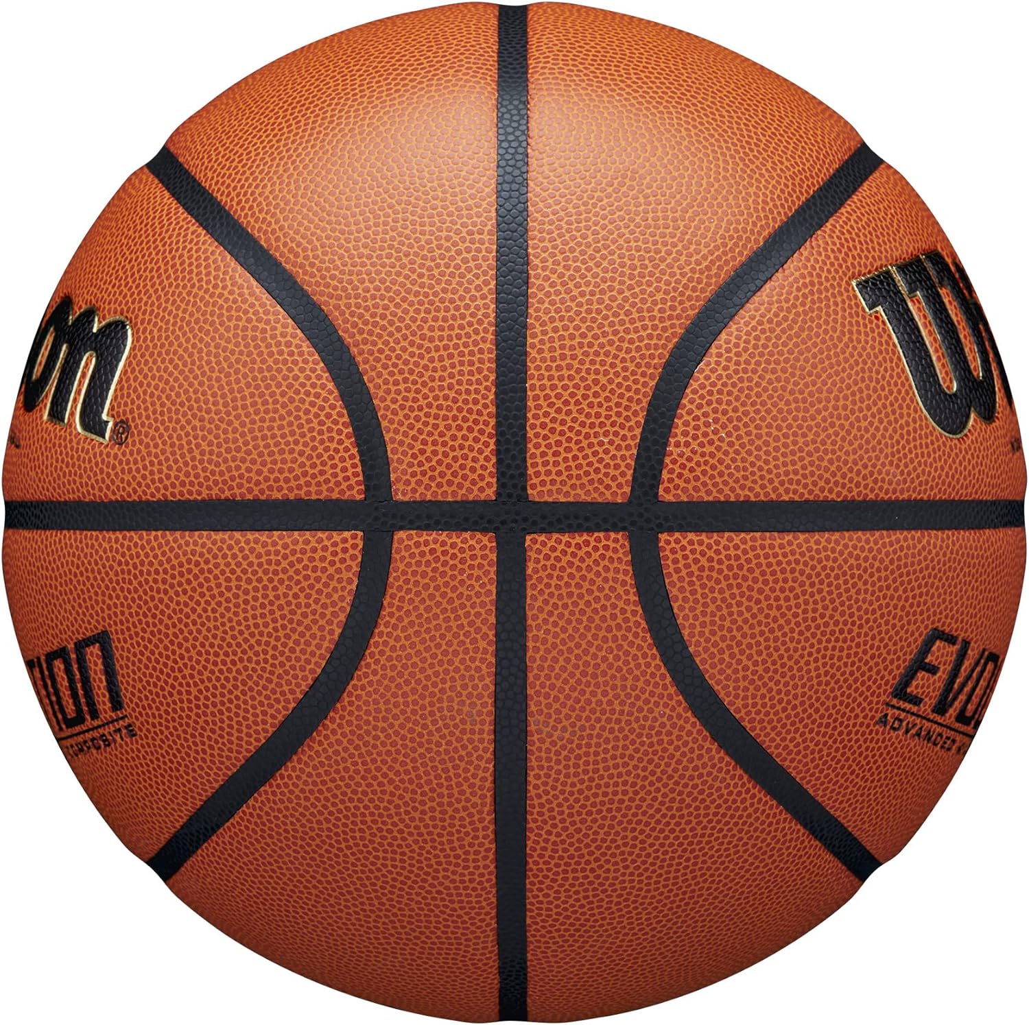Wilson Evolution Basketball Indoor Side View