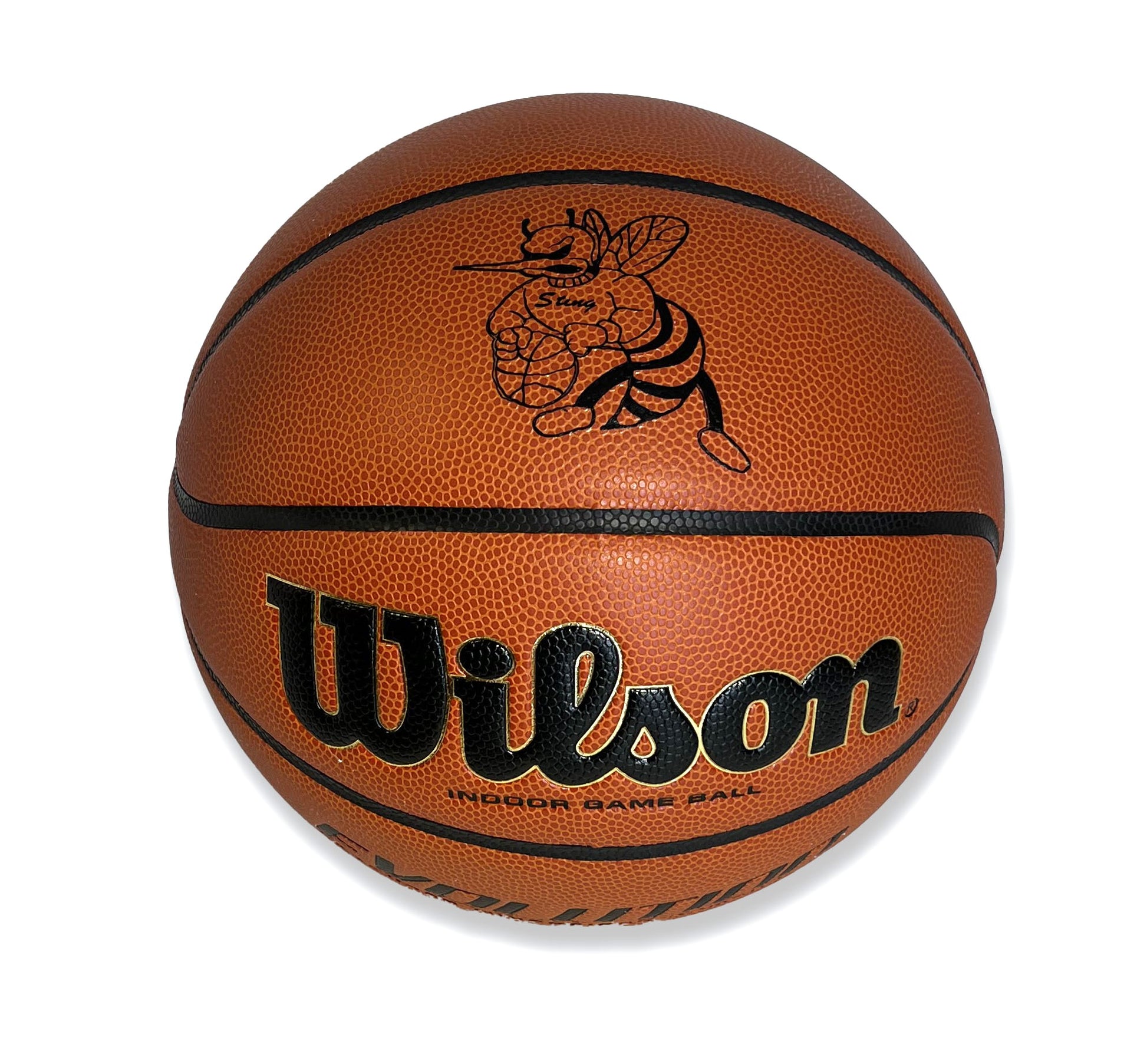 Customized Personalized Logo Wilson Evolution Basketball Black