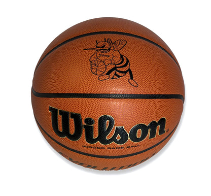 Customized Personalized Logo Wilson Evolution Basketball Black