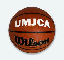 Load image into Gallery viewer, Customized Wilson Evolution Basketball White

