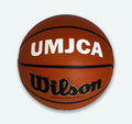 Load image into Gallery viewer, Customized Wilson Evolution Basketball White
