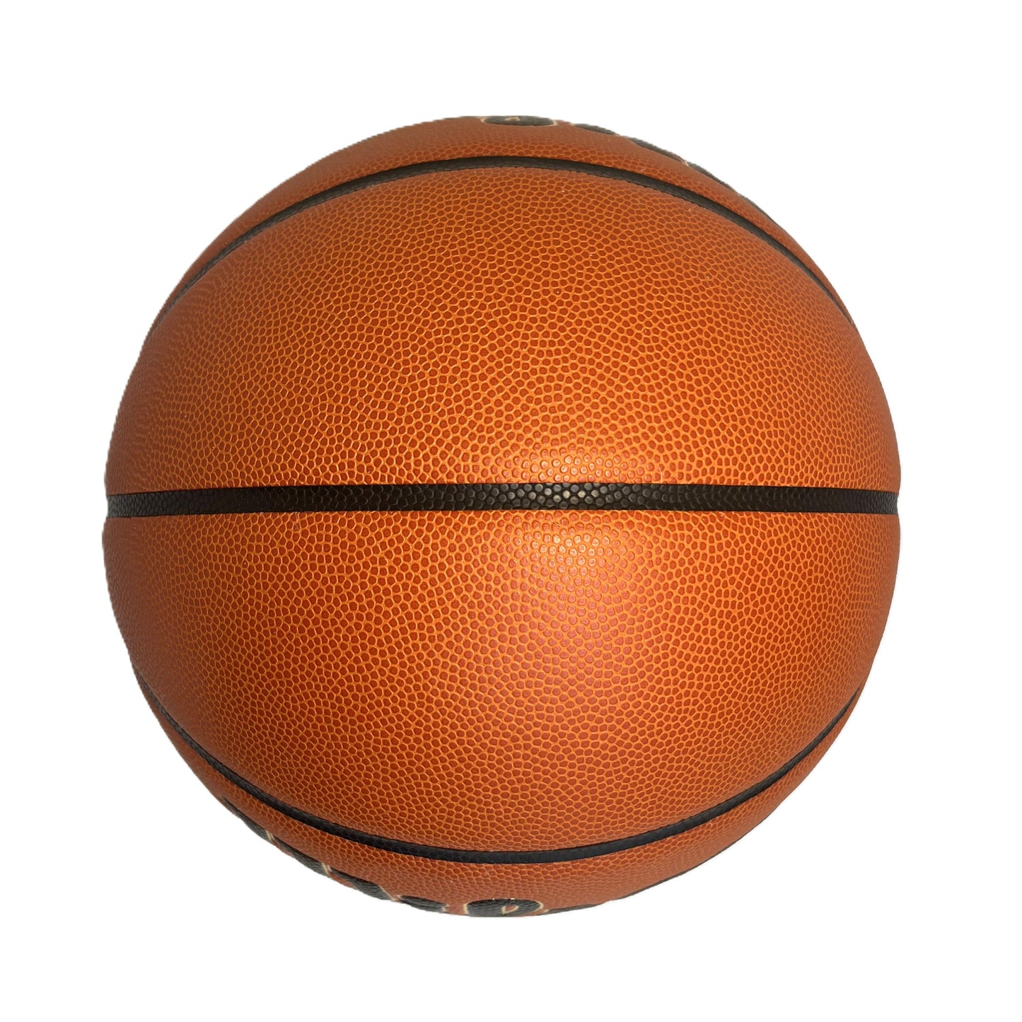 Wilson Evolution Basketball Top View 2 Blank Panels for Customization Personalization