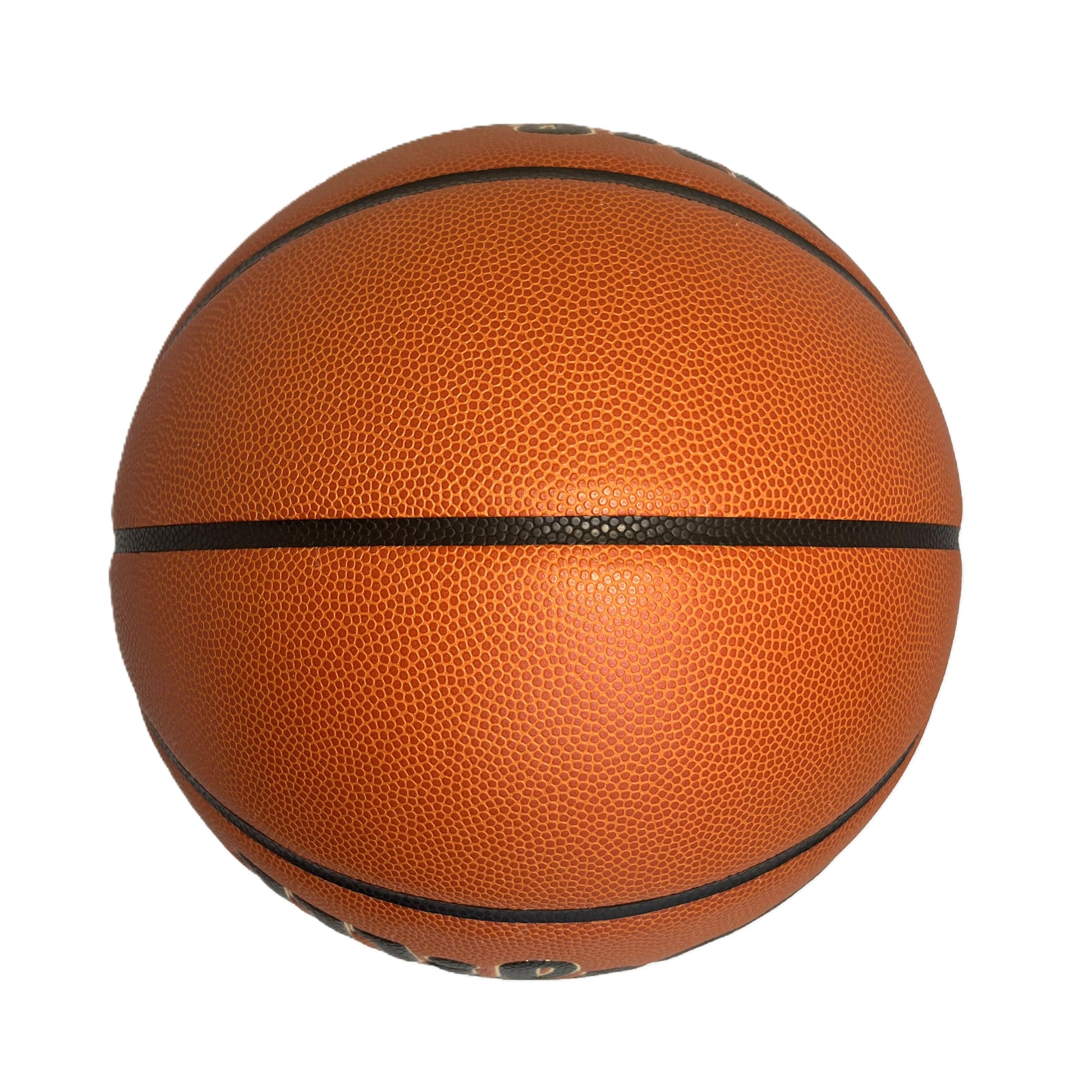 Wilson Evolution Basketball Top View 2 Blank Panels for Customization Personalization