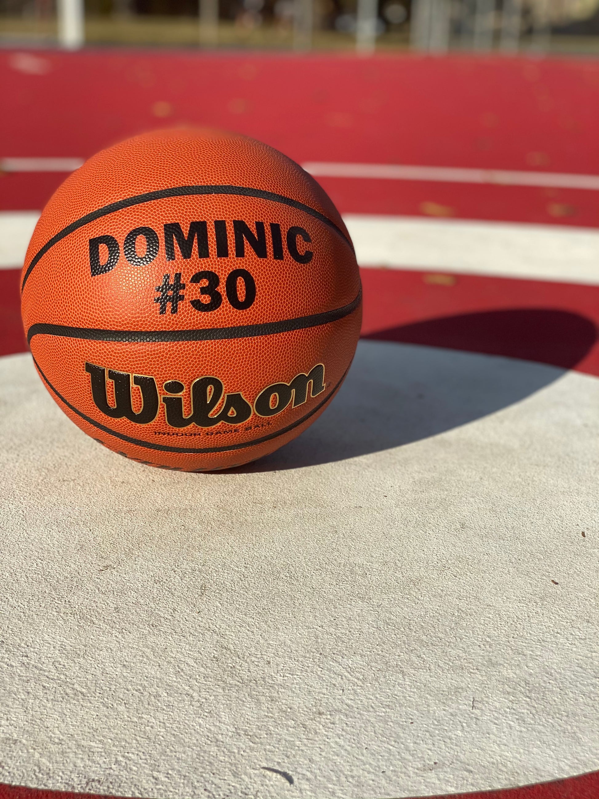 Custom Wilson Evolution Basketball