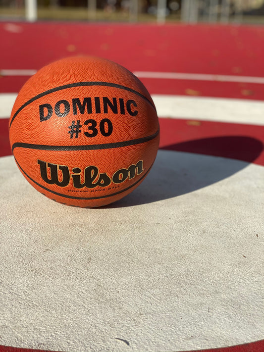 Custom Wilson Evolution Basketball