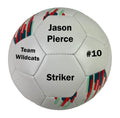 Load image into Gallery viewer, Customized Soccer Ball Black Multi Panel
