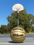 Load image into Gallery viewer, Wilson Personalized Wilson Gold Basketball
