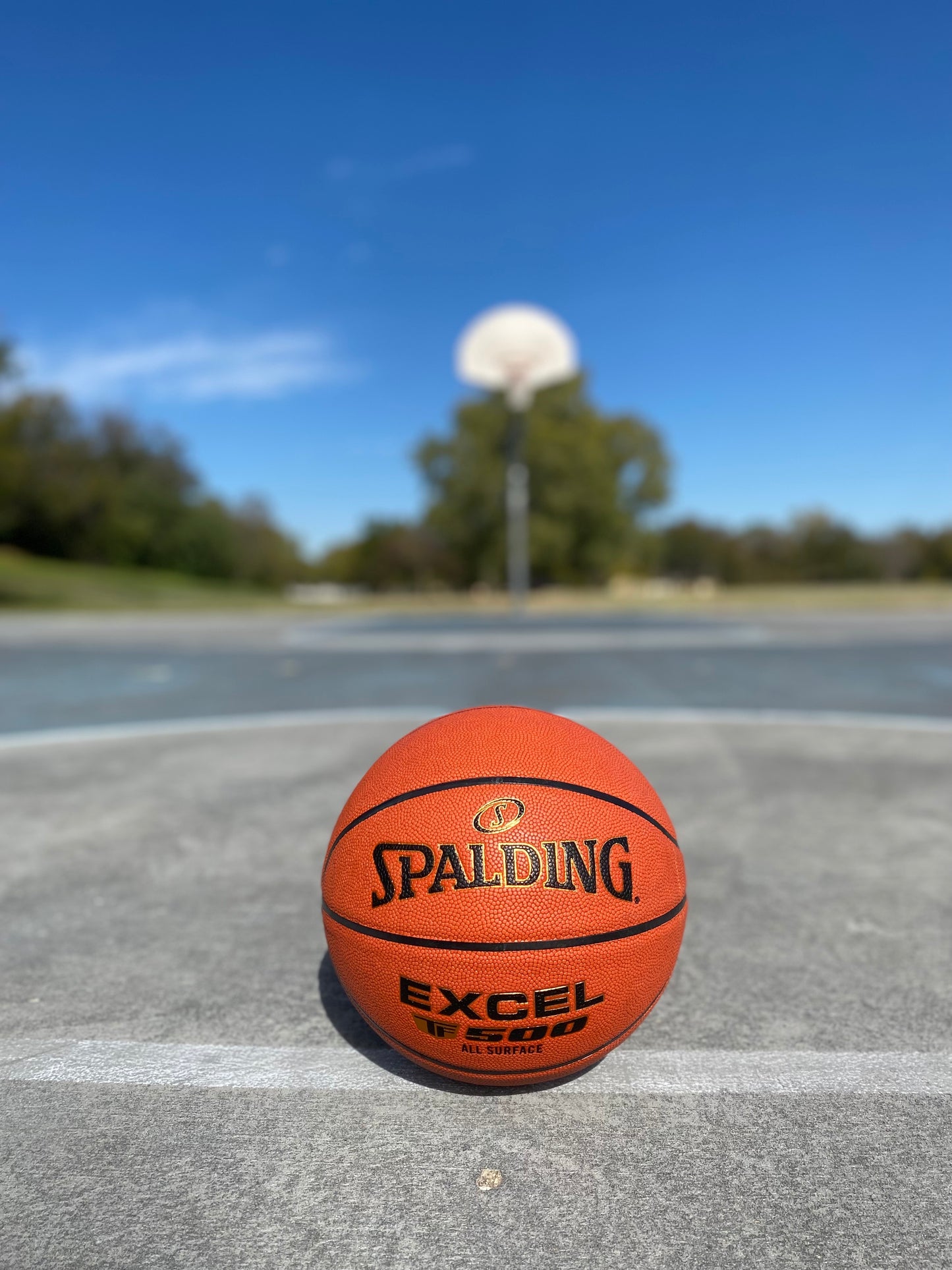 Lifestyle image of Customized Spalding TF500 Indoor Outdoor Game Ball