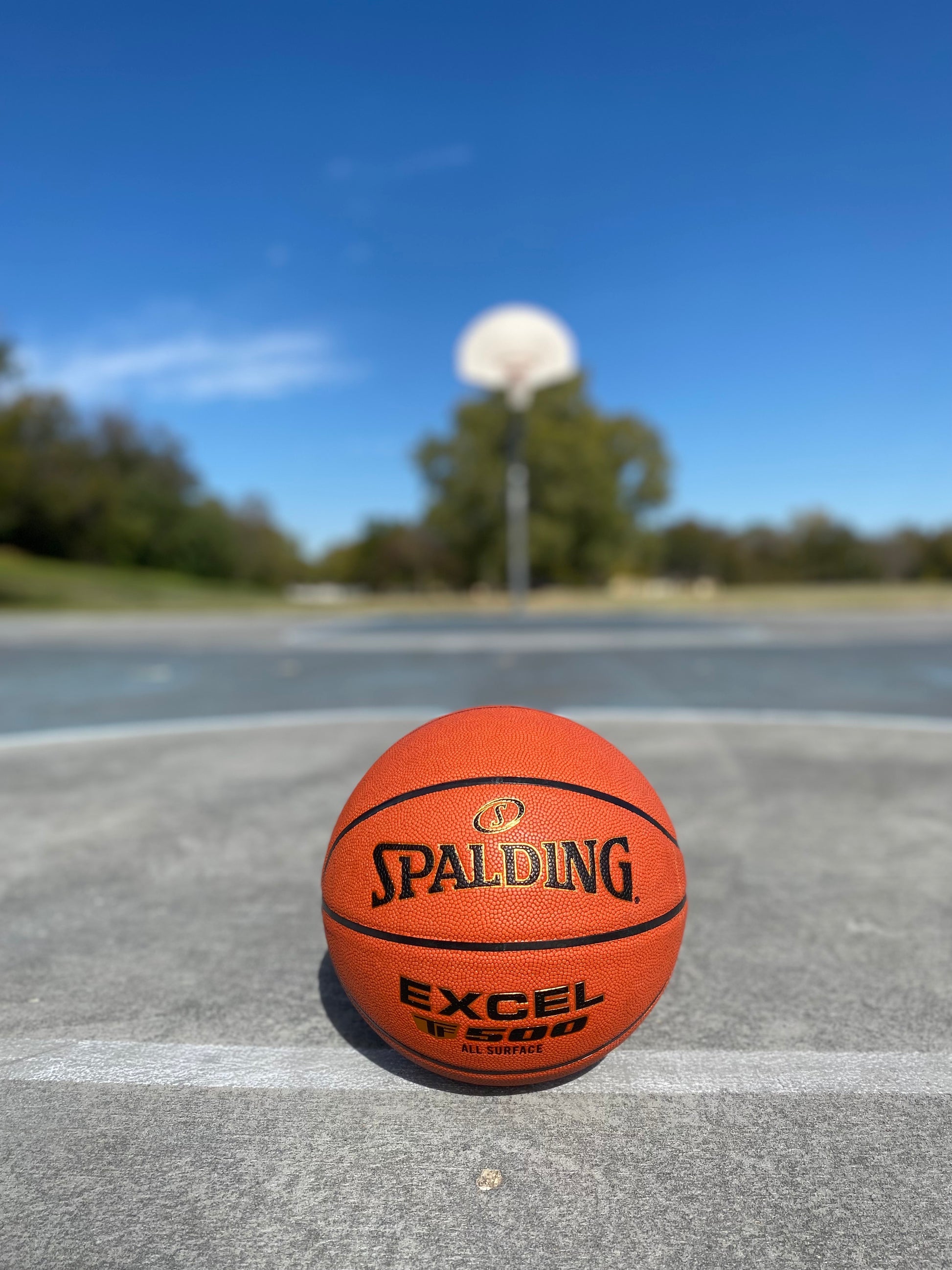 Lifestyle image of Customized Spalding TF500 Indoor Outdoor Game Ball